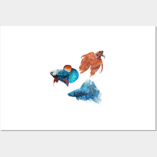 Betta Galore Posters and Art